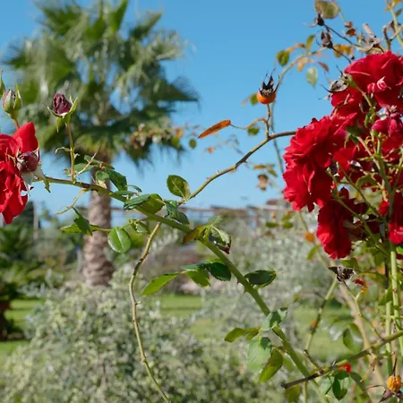 Delle Rose Salento