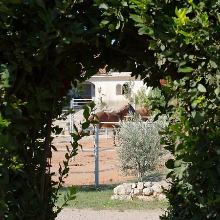 Delle Rose, & Restaurant Hotel Torre Vado